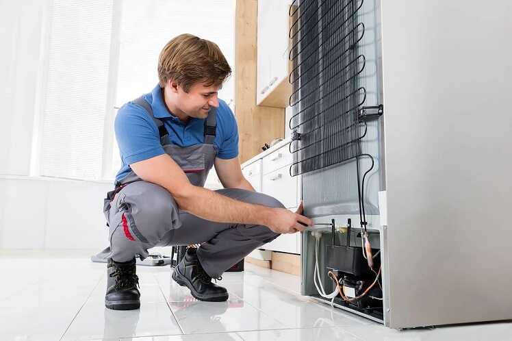 naprawa lodówek Gryfów Śląski